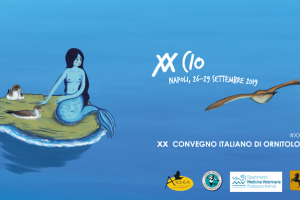 Banner XX CIO Napoli - 20° Convegno Italiano di Ornitologia